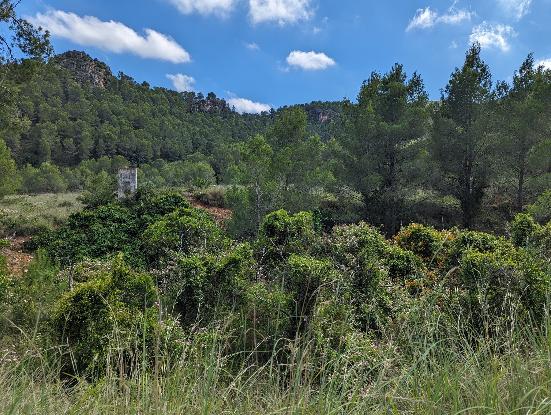 Local hiking Marxuquera